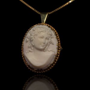 14 krt gouden broche/hanger met koraal camée